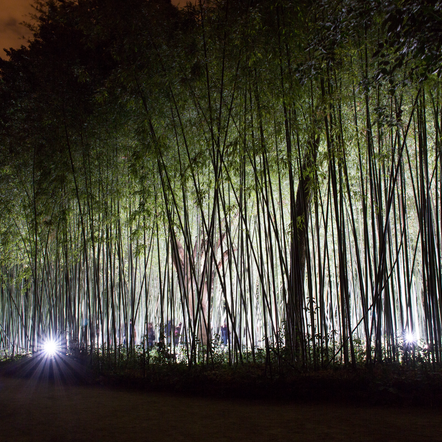 Jardin Epileptique